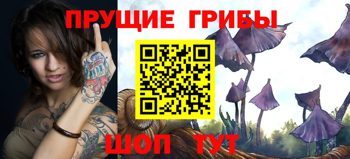 Янаул  Галлюциногенные грибы Psilocybe  Псилоцибиновые грибы GOLDEN TEACHER  Вход с VPN 